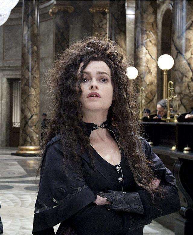 小天狼星布莱克 小天狼星和狮院女主-百科叔叔