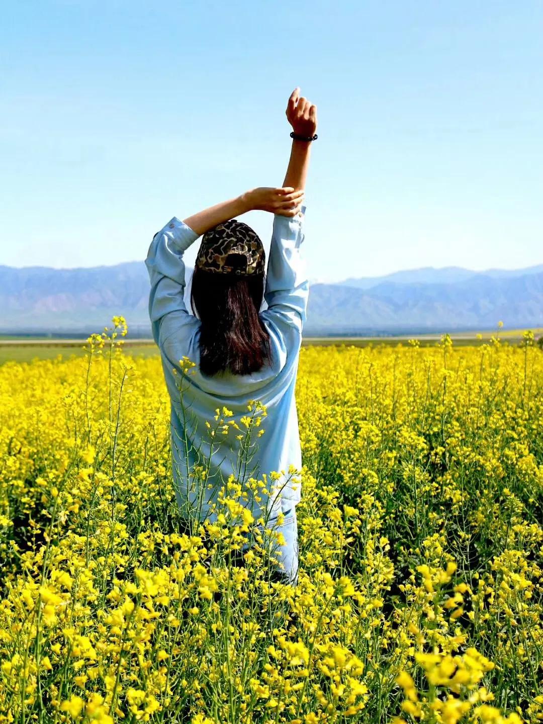 诗词赏读丨咏油菜花诗词12首