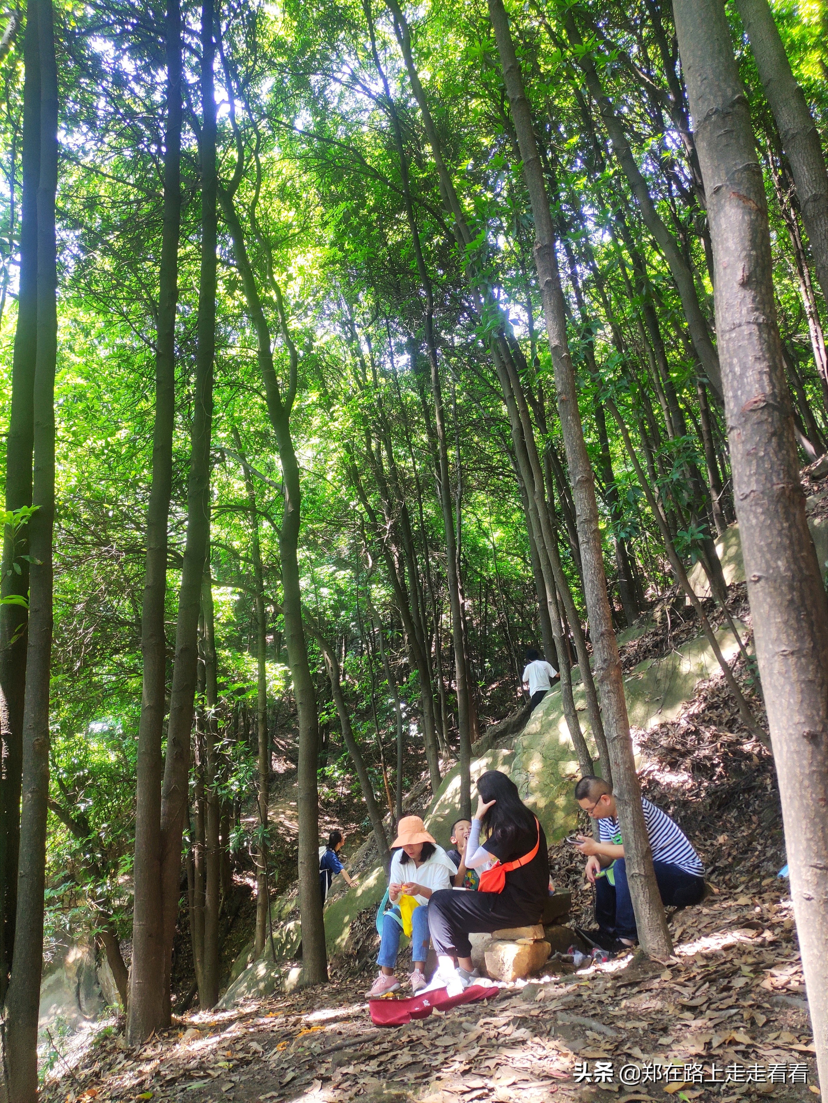 重庆哪里可以爬山(重庆歌乐山911爬山路线，真的太刺激了)