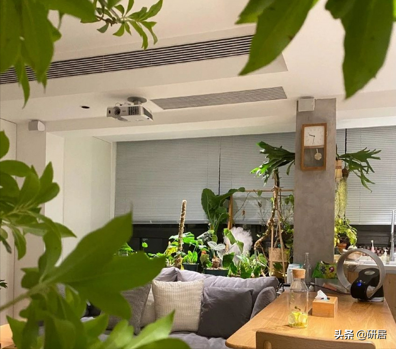 “杭飘”夫妻的幸福生活，花百万买下79平二手房，装修好太羡慕了