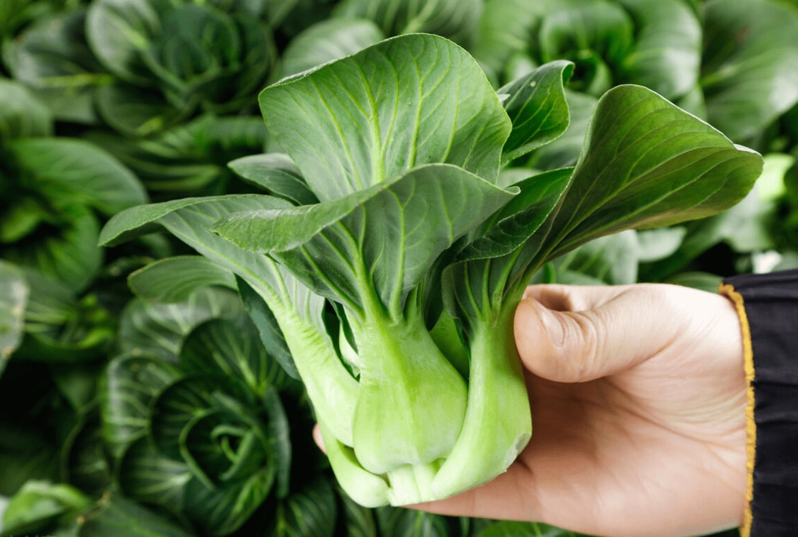 大年初五，不管有钱没钱，都要吃这5种菜，寓意新年行大运发大财