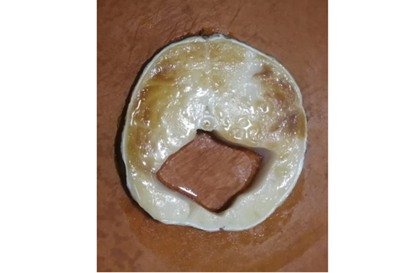 玉璧！就是五千年前大鱼档的“一元钱”？