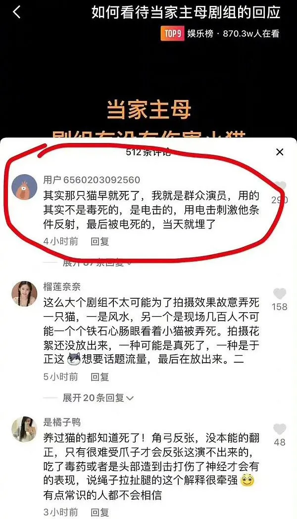 大v调查后反馈:《当家主母》猫咪拍完死了扔了,剧组回应再翻车