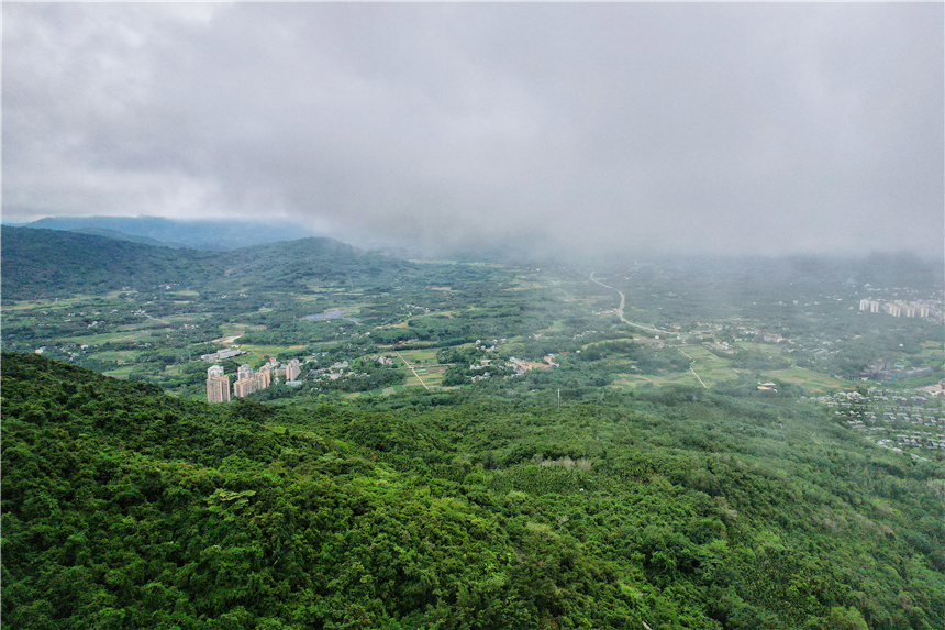 自驾海南，探寻雨林秘境，黎族村落到茶园深处，4天3晚游玩全攻略