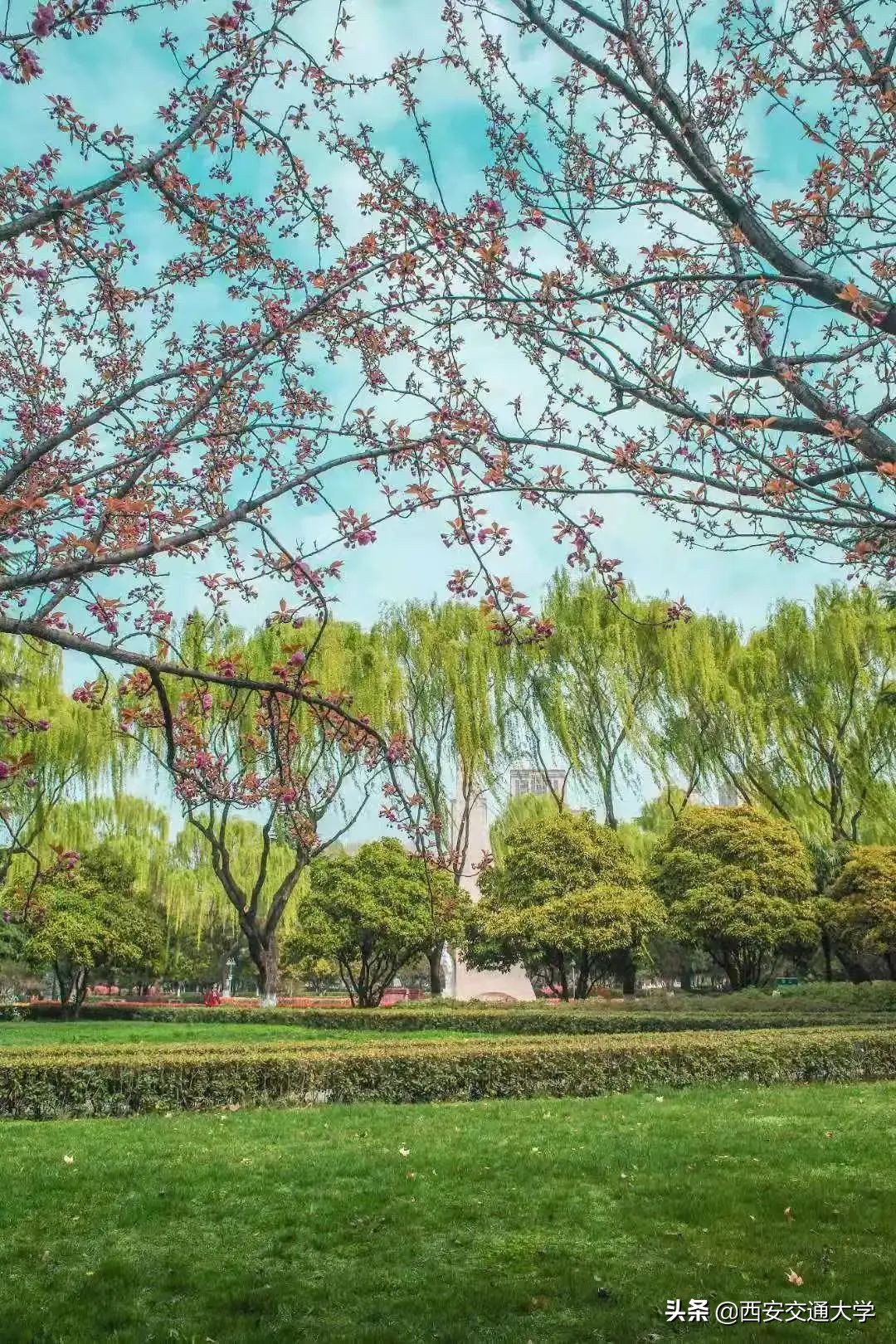 高考必胜，圆梦今夏！我们在交大等你