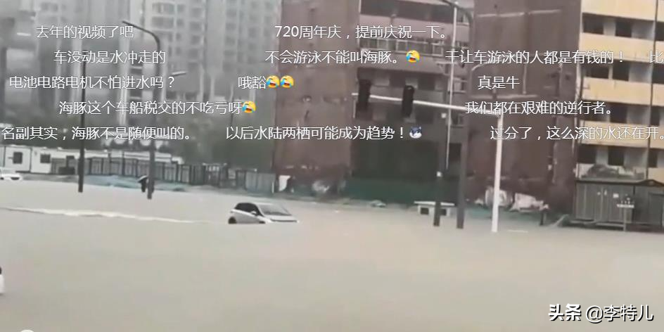 暴雨成河，比亚迪海豚秒变真海豚“河中游泳”，网友：爱车很受伤