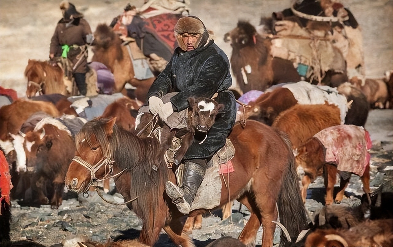 蒙古羊今日价格「蒙古币对人民币汇率今日价格」