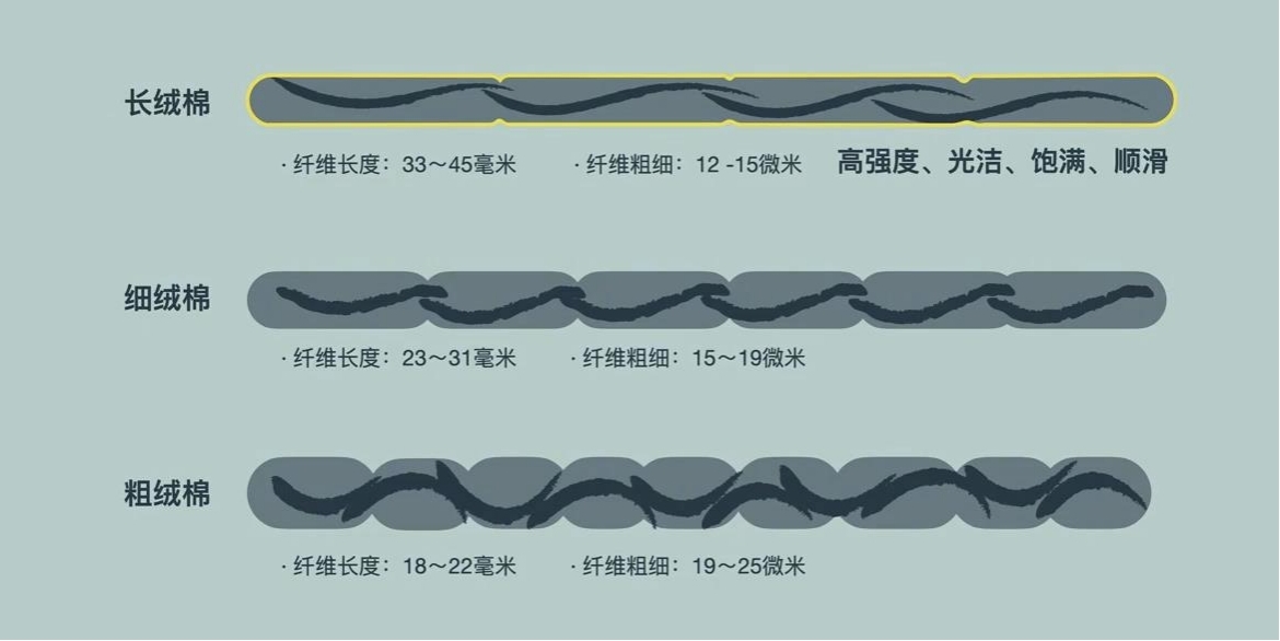 液氨棉面料的优缺点（液氨棉 知乎）-第5张图片-科灵网