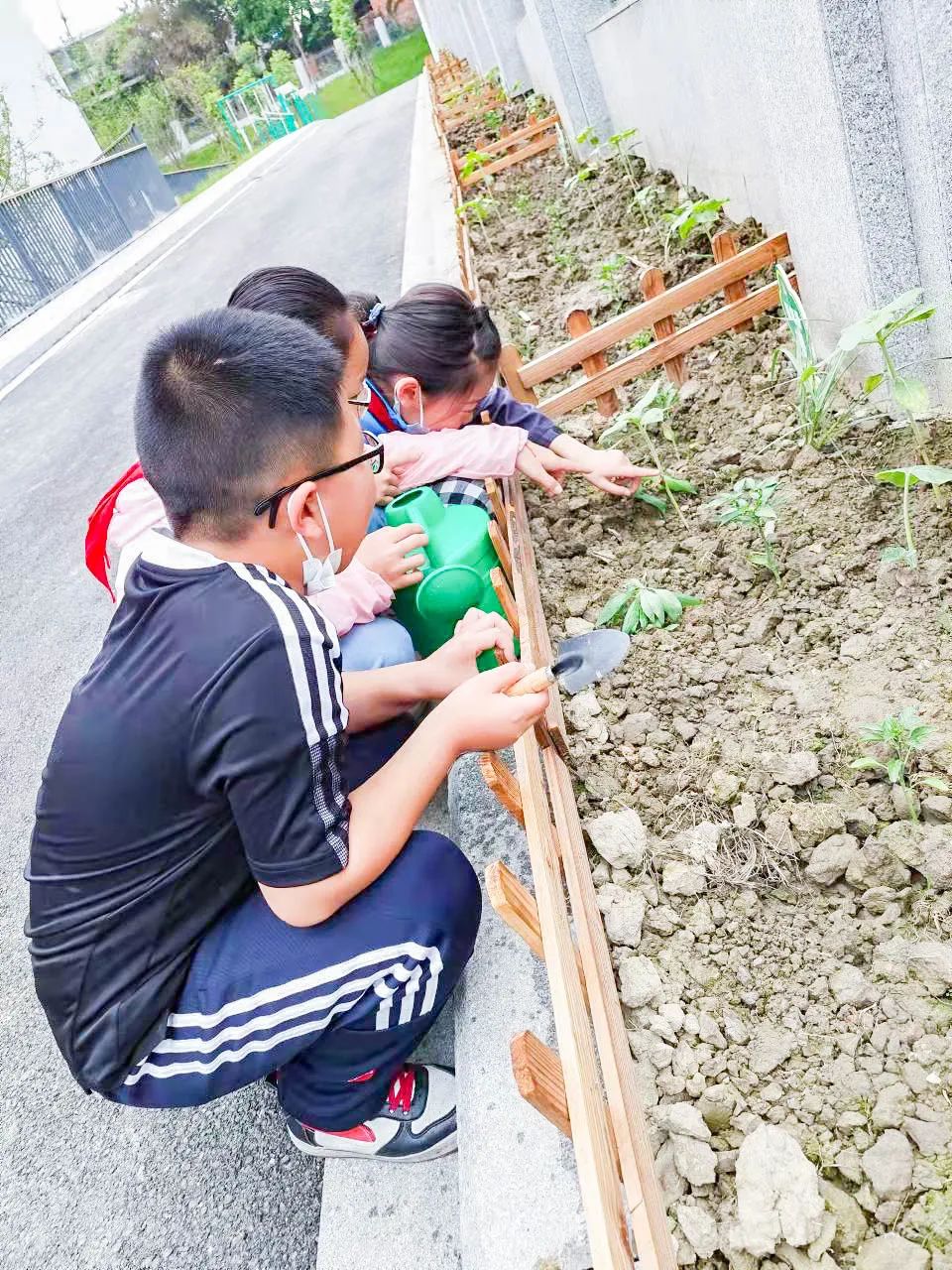 「责任教育 劳动课程」成都市双流区黄甲小学开发特色劳动种植课程