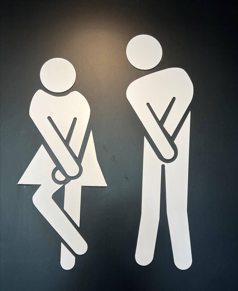 女厕所标志牌子(“大象和长颈鹿、B和G、XX和XY”，这些厕所标志怎么区分男女？)