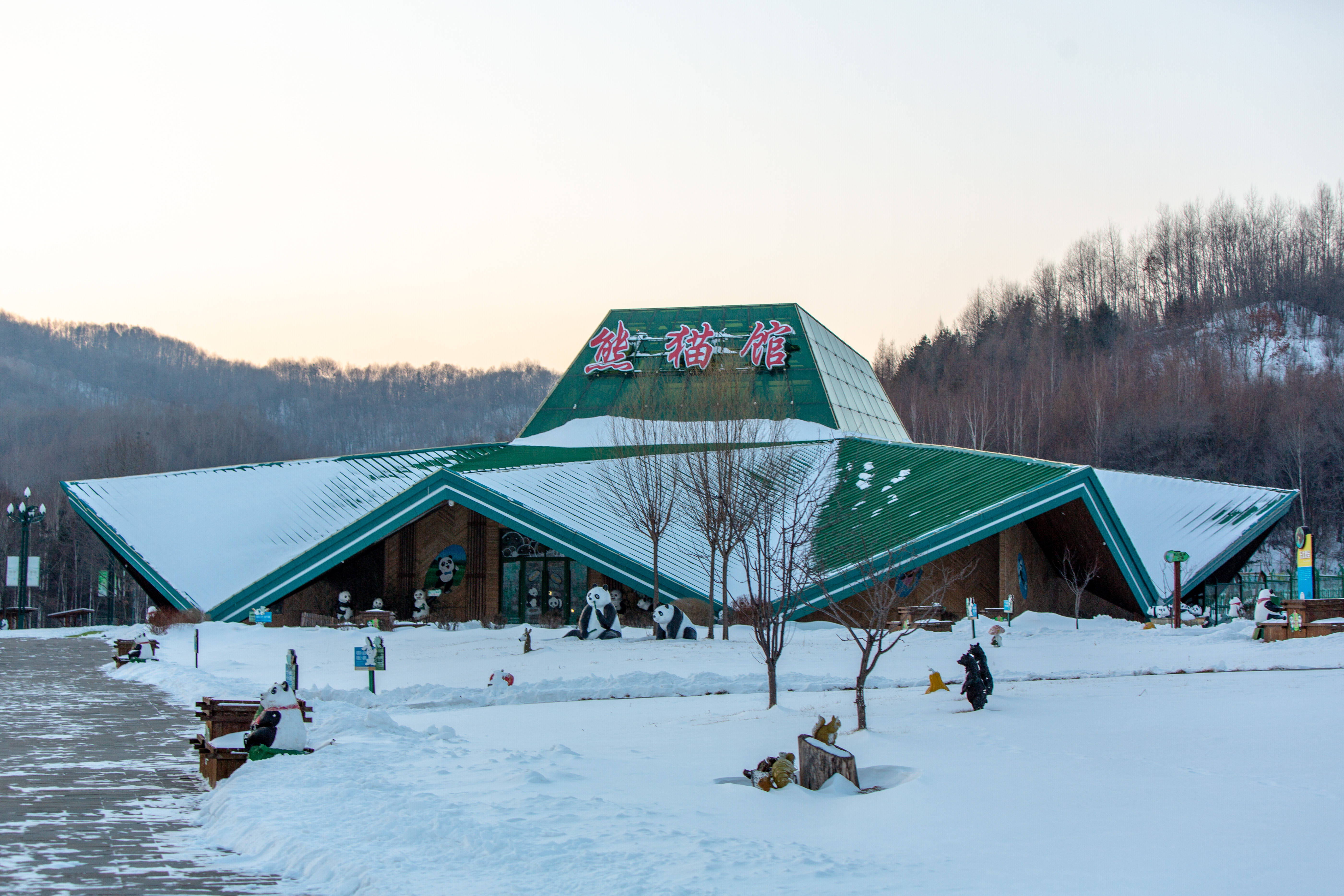 这个冬天到黑龙江，体验一场浪漫的冰雪之旅