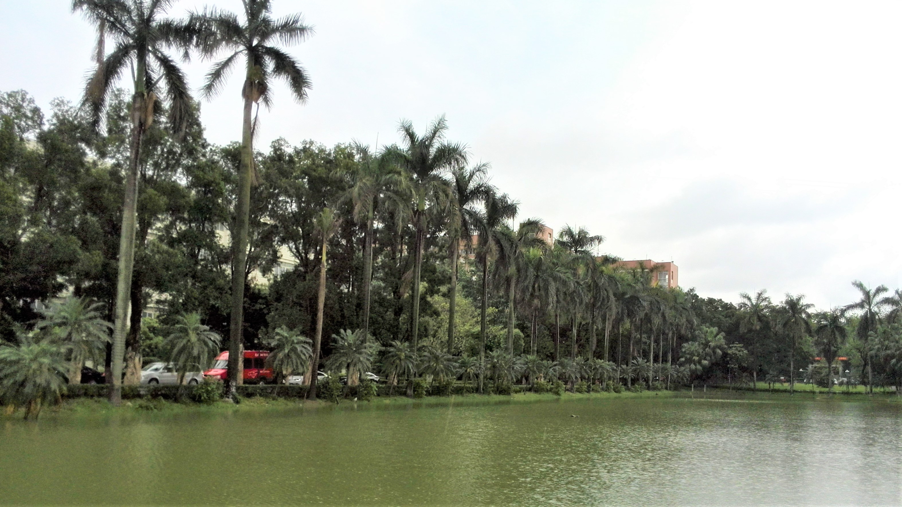 中山大学：广东人眼里的华南一霸，知名度不过长江？