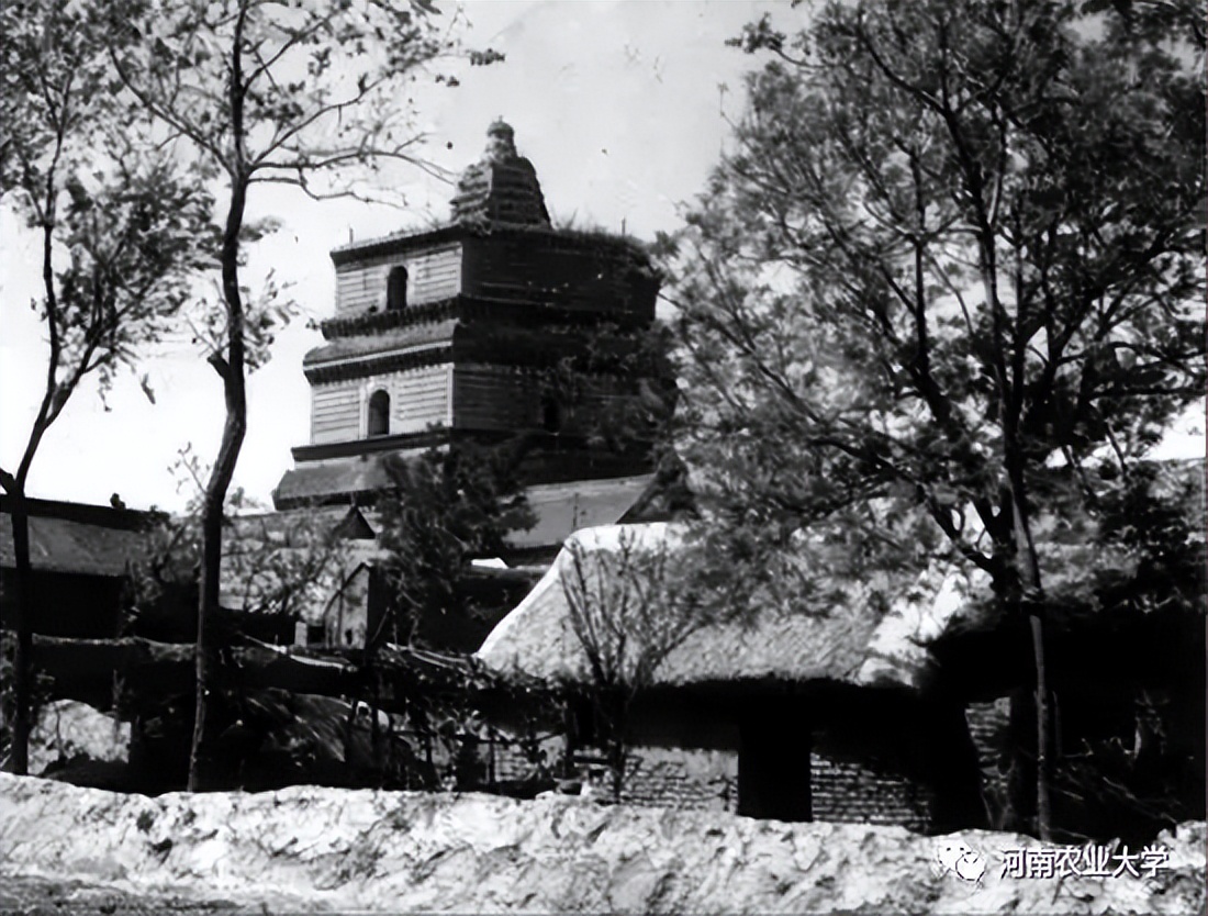 1945——1949，农学院师生们的“南征北战”