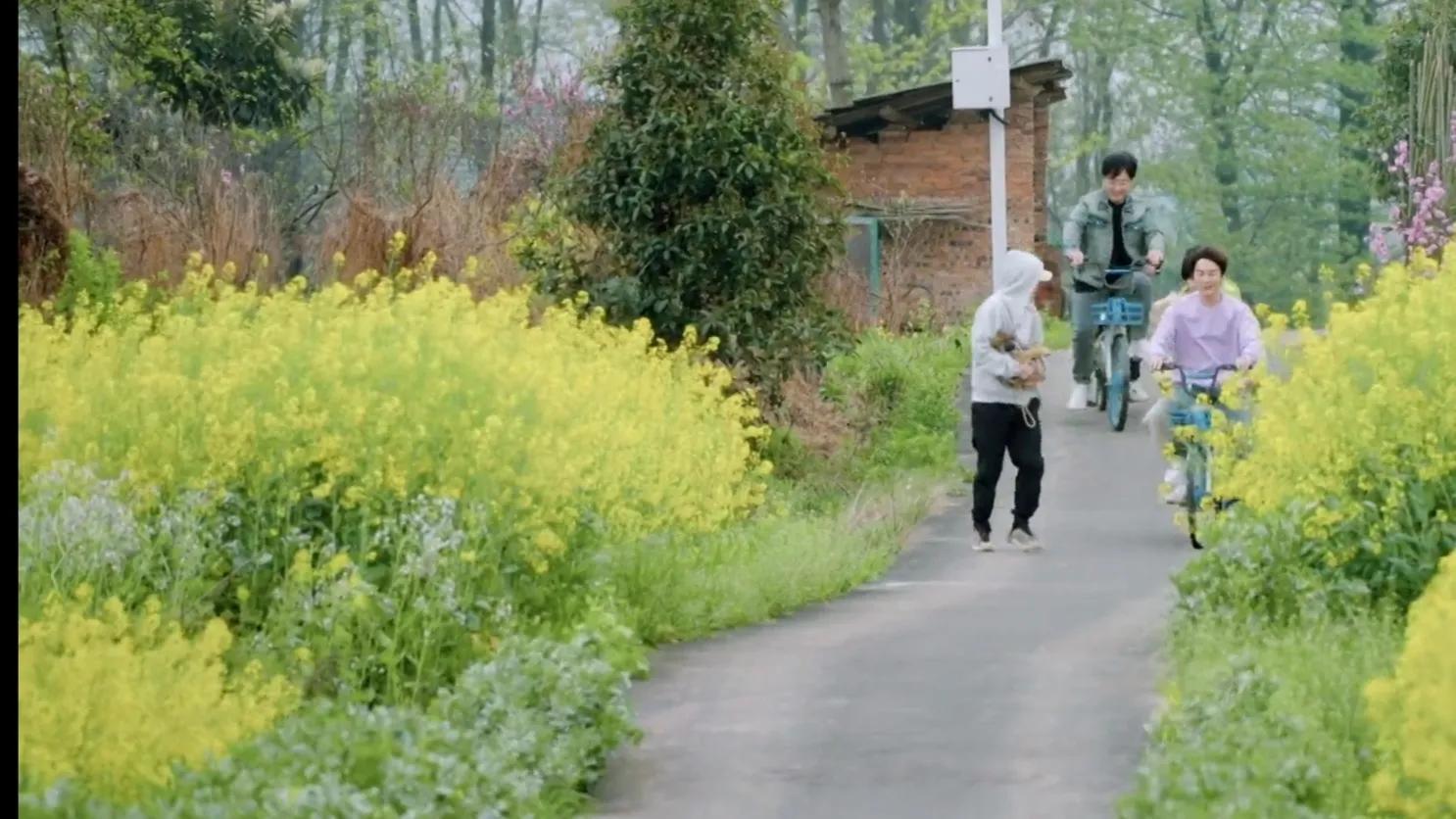 快乐再出发：终于等到你，这才是我们想看的团综