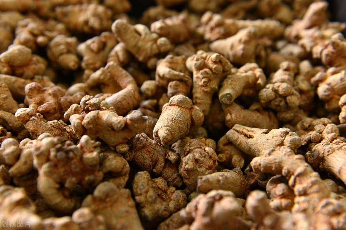 三七和田七的区别图片(疏通血管) - 赤虎壹号