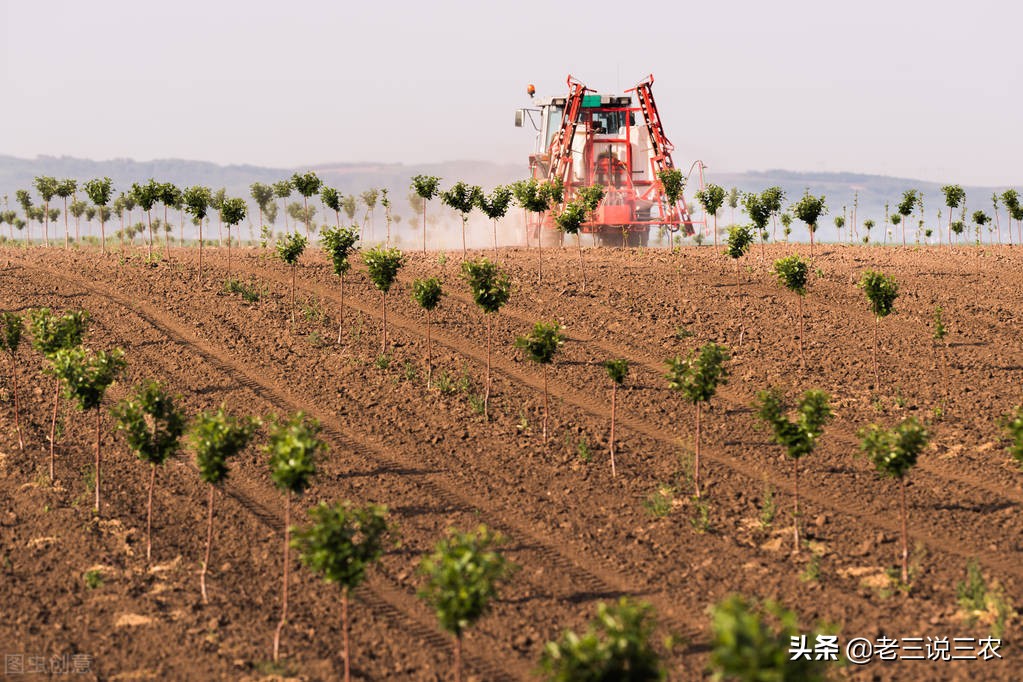 兔粪最简单的发酵方法（兔粪发酵方法视频）-第5张图片-昕阳网