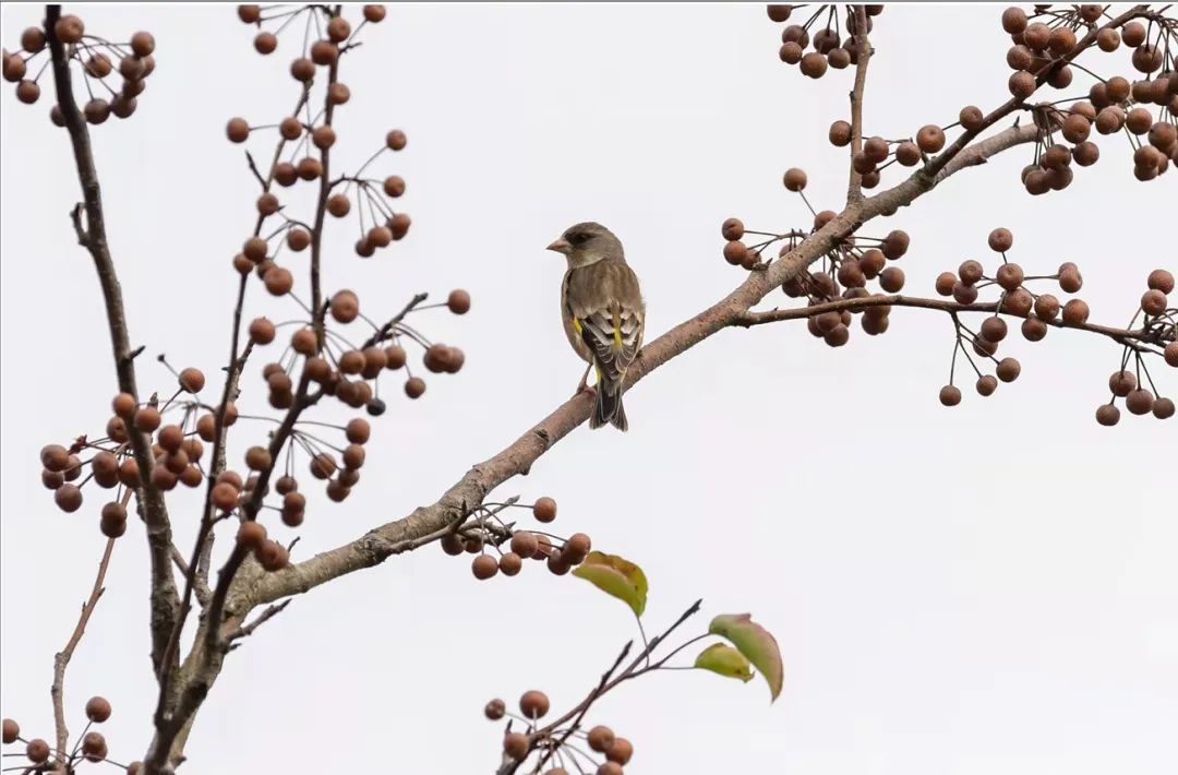 中国法院“二十四”节气 清明——每一个“你”，我们都不曾忘记