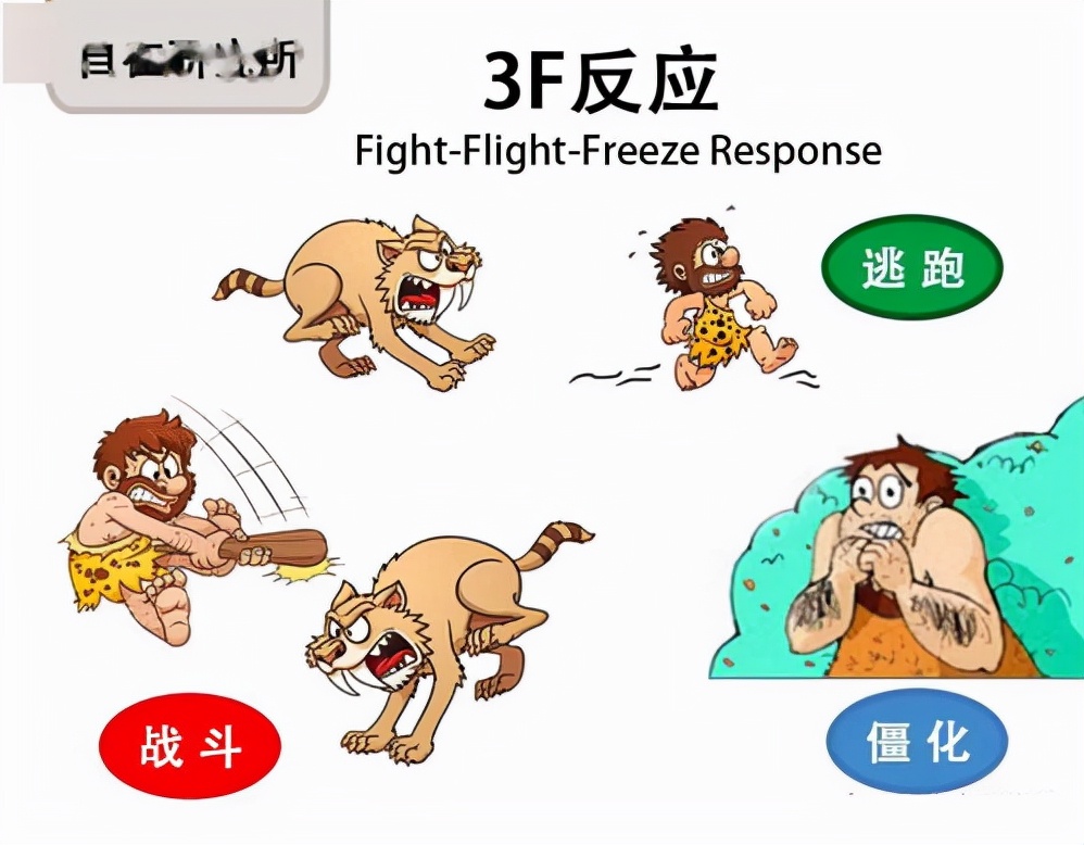 男童被母亲男友折磨,男孩被妈妈