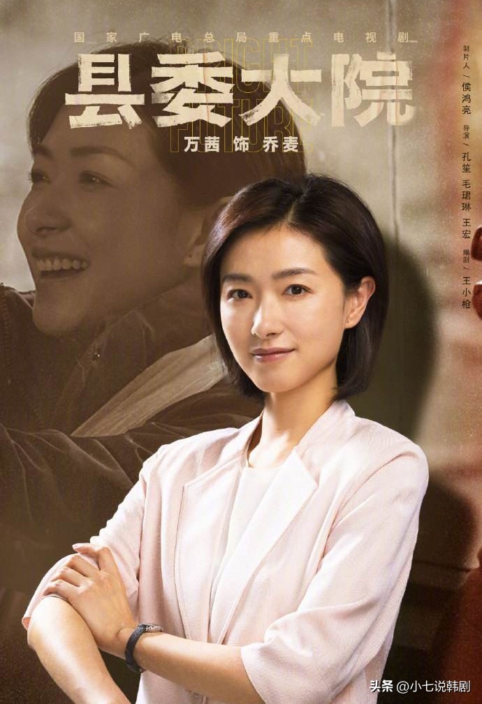 大村官所有演员表(《县委大院》演员阵容堪比《建党伟业》,效果却不伦