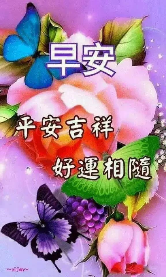 头条周二非常阳光早上好正能量问候表情祝福图片带字