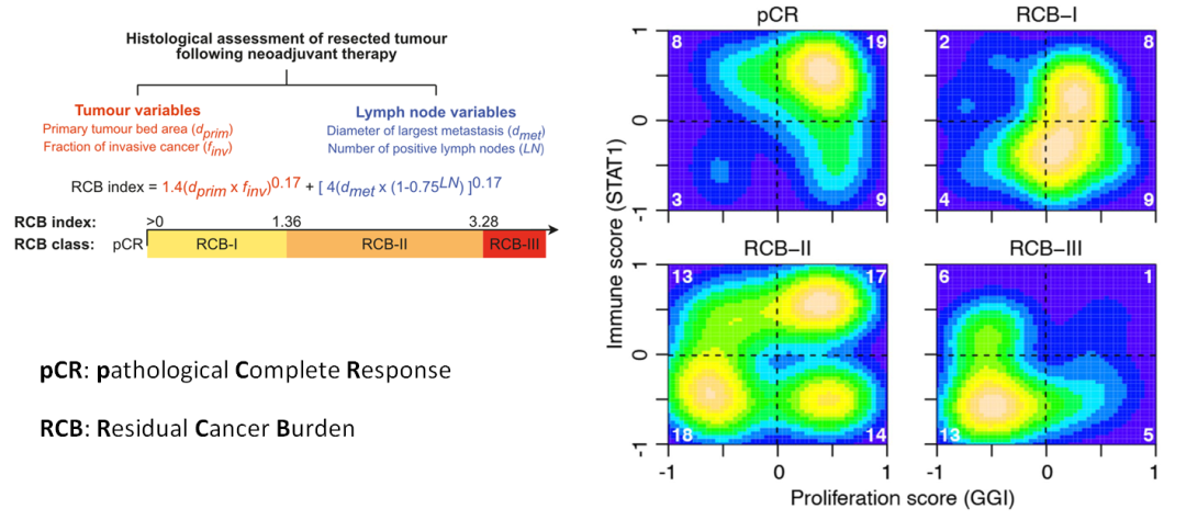 Nature | 机器学习整合多组学多类型数据高效预测肿瘤病人药物反应