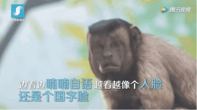 ve云注册后会被骗吗（火爆全网的）