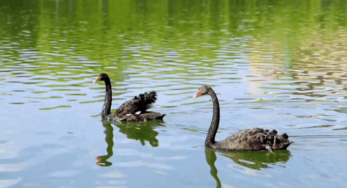 来金陵城，观长江波澜，枕九乡水脉，与南京财经大学共奋进