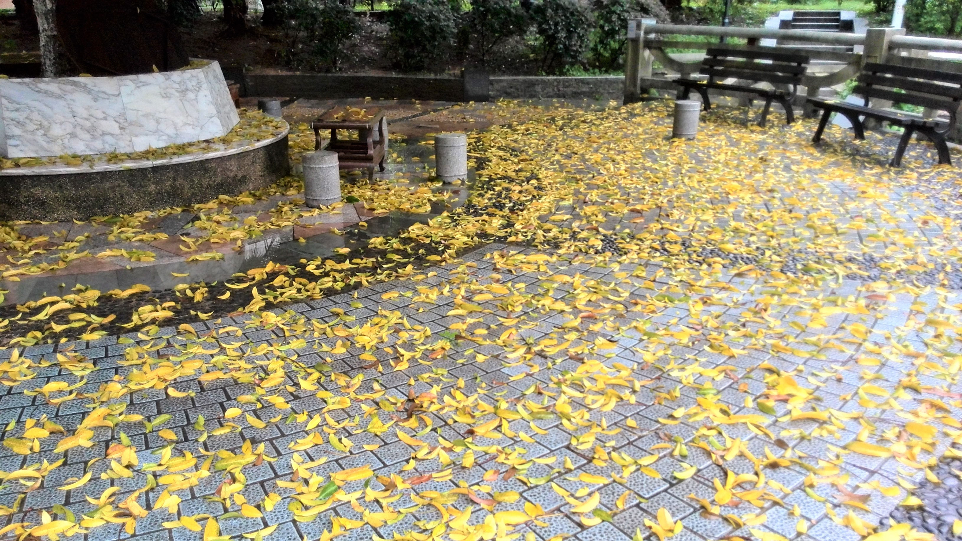 中山大学：广东人眼里的华南一霸，知名度不过长江？