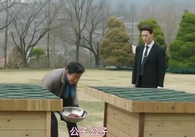 狗血韩剧《夏娃》给狗取名孔子和荀子