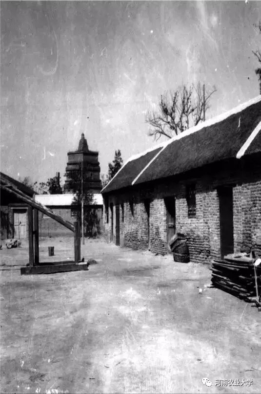 1945——1949，农学院师生们的“南征北战”