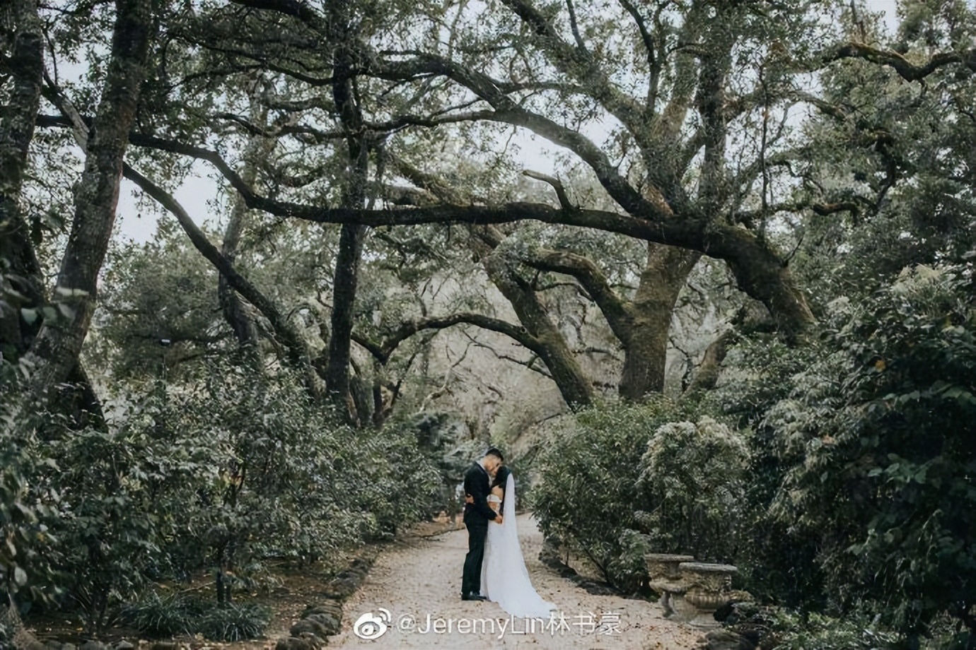 金屋藏娇!林书豪官宣2年前已结婚,1米60华裔美女与豪哥十分登对