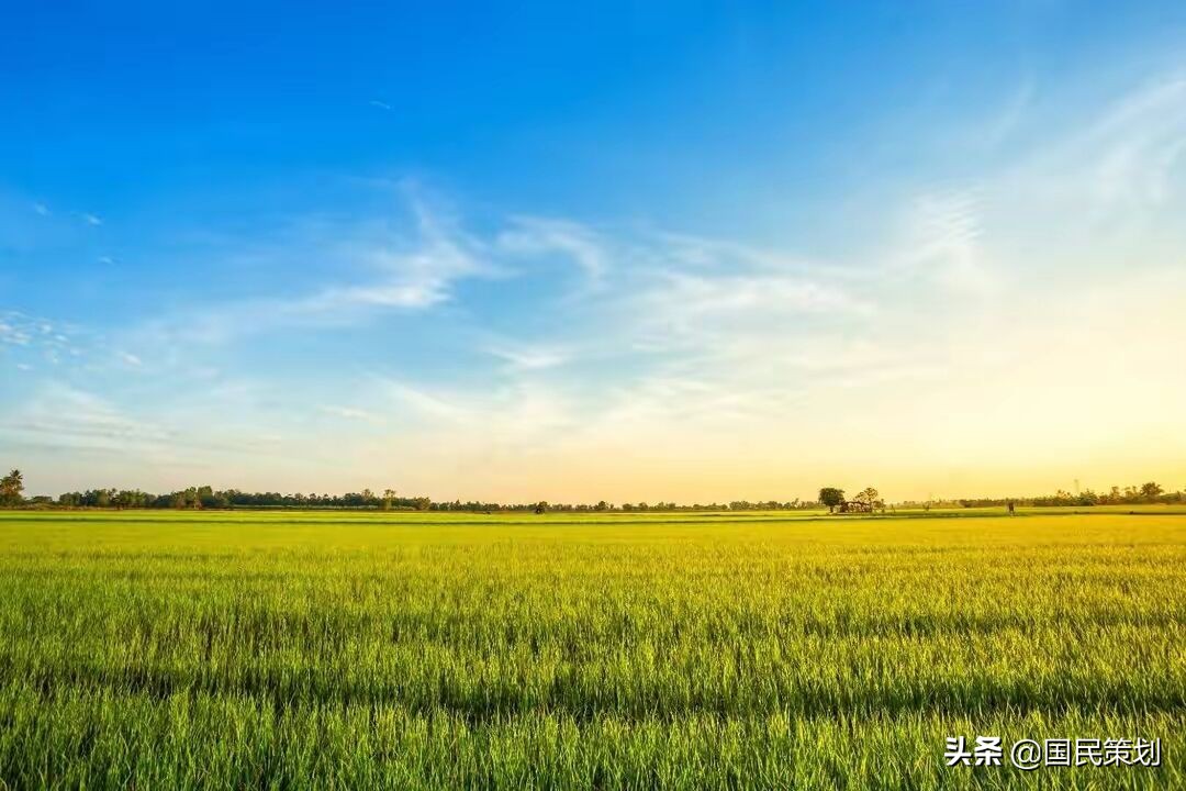 重磅！109项乡村振兴税费优惠政策指引来了？