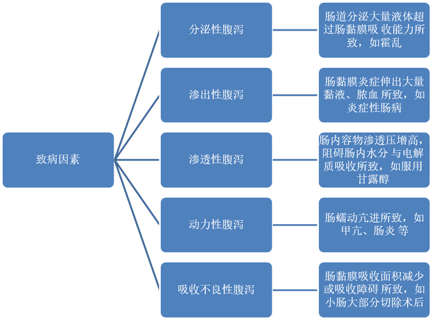 腹泻病因及诊断要点