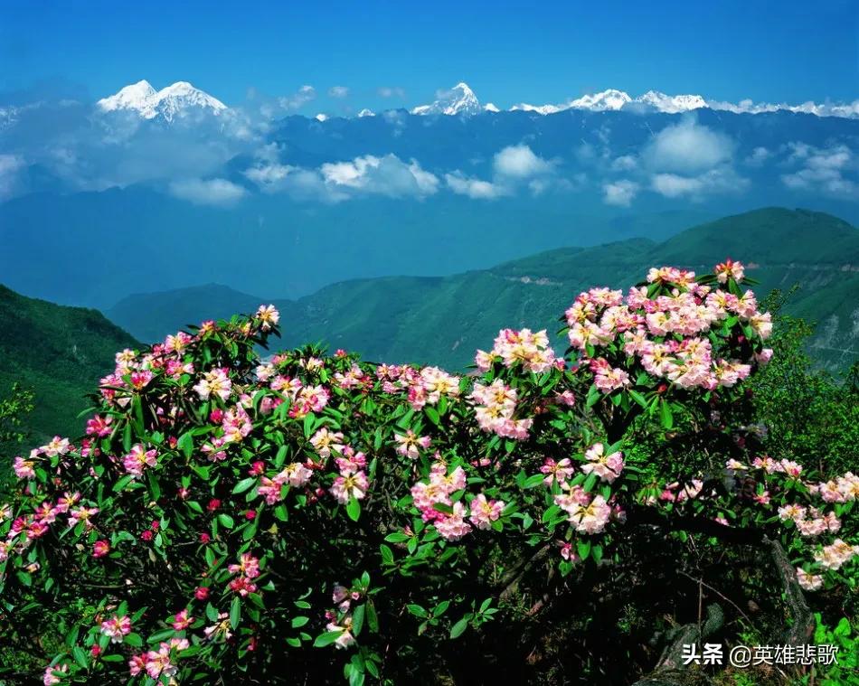 世界第七高峰(珠峰是世界第一高峰，但其攀登难度却进不了前三，这是何故？)