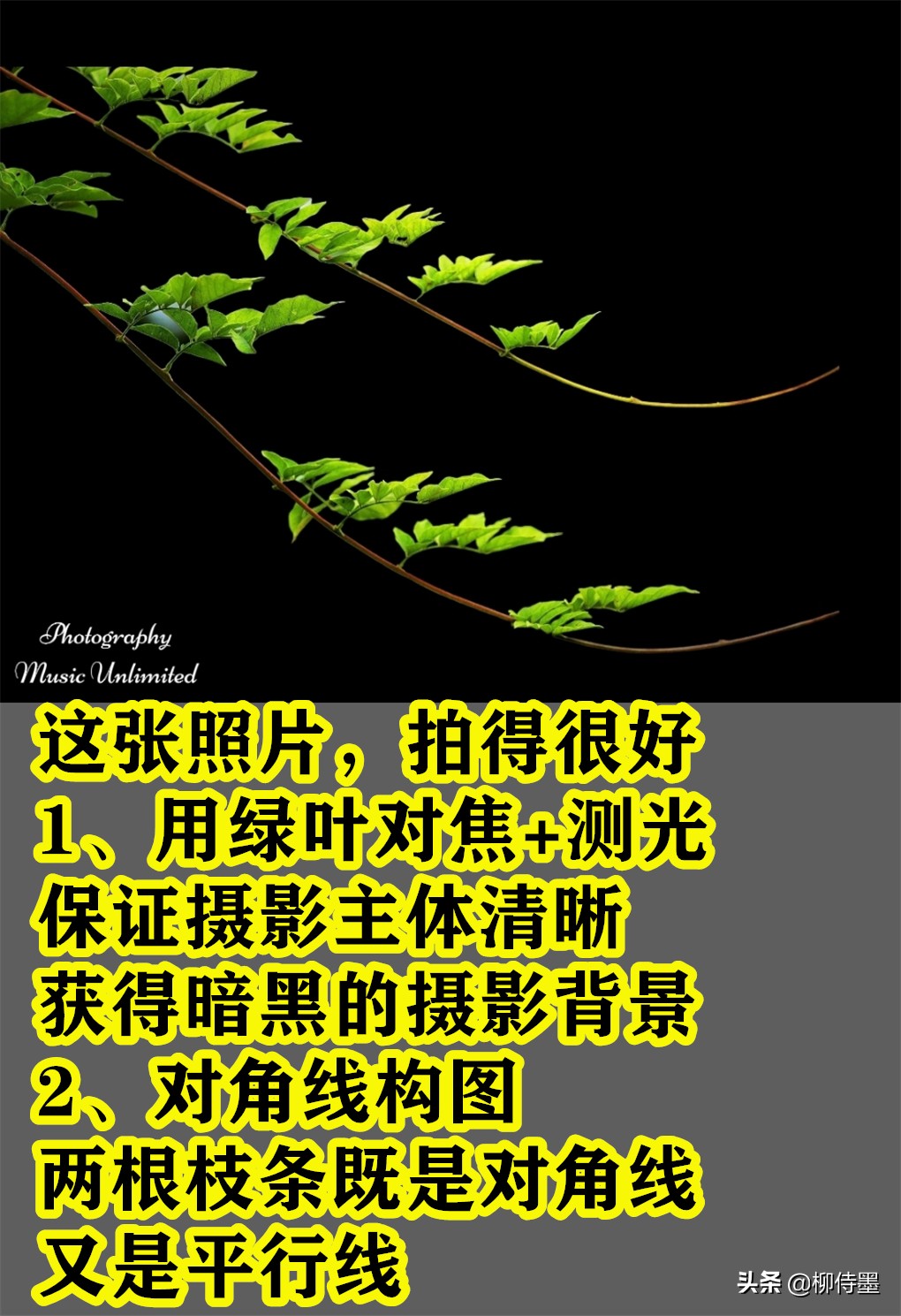 难怪照片不好看，这些拍照时的“坏习惯”，摄影新手经常犯