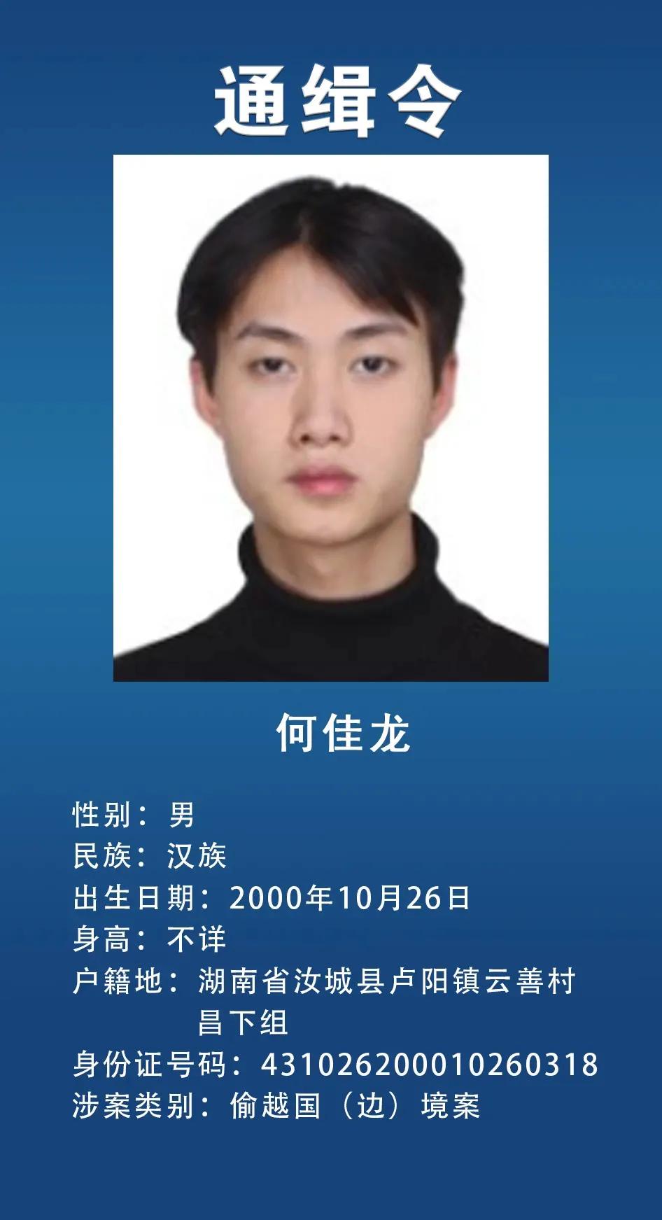 网上通缉犯,网上通缉犯怎么查