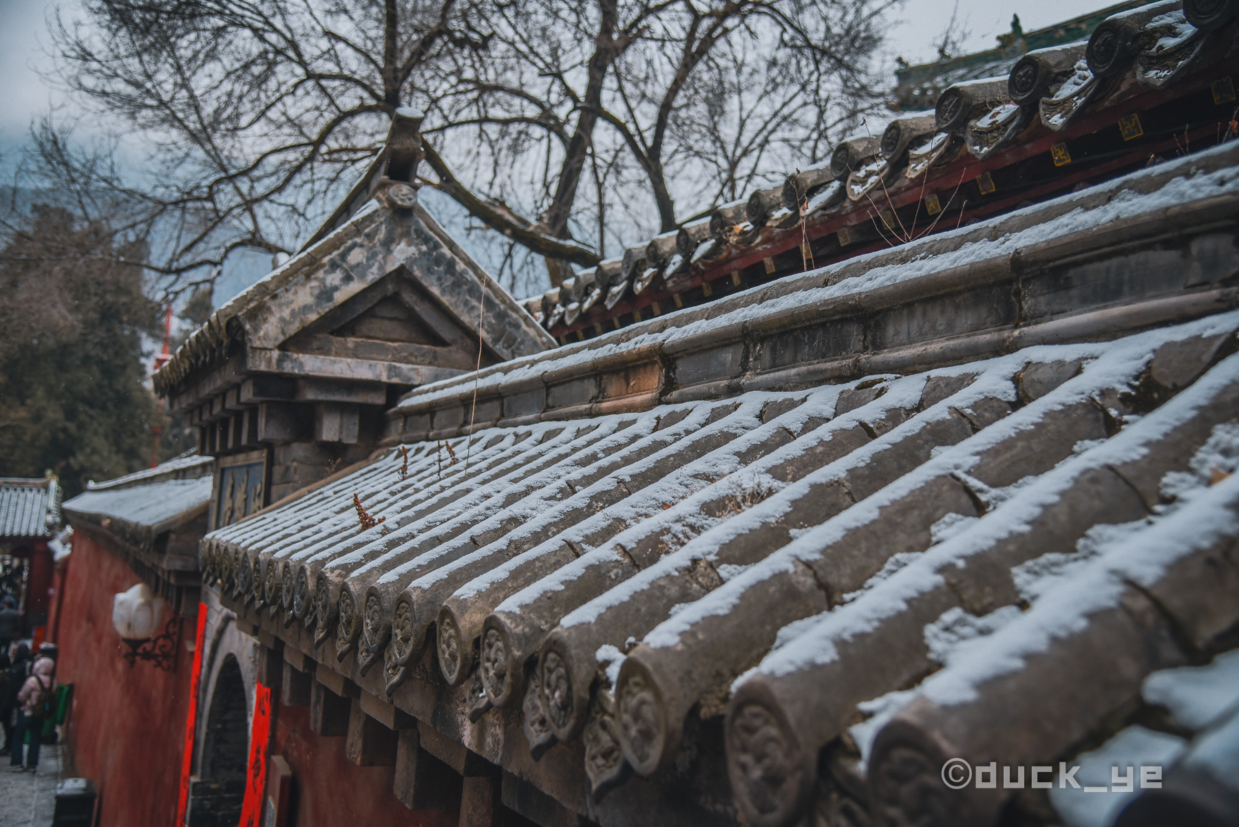 少林寺免票啦！千年古寺、绝美三皇寨、功夫表演，趁现在来看看