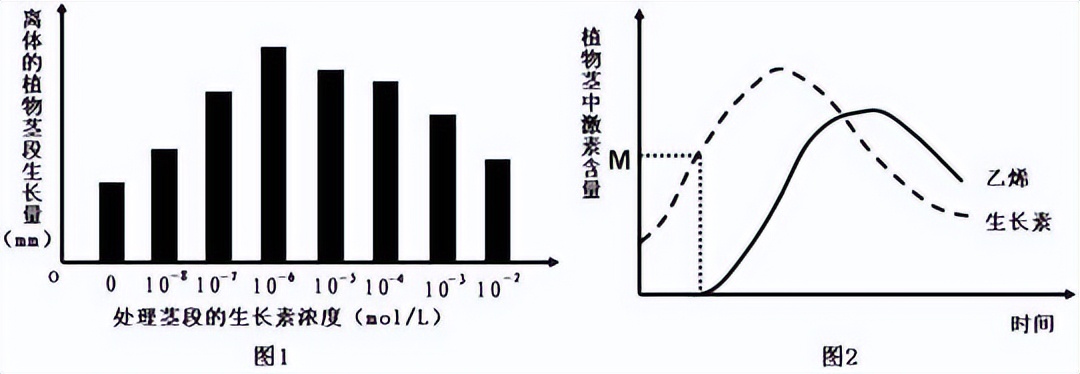 青鲜素相当于什么植物激素（青鲜素相当于什么植物激素类）-第15张图片-昕阳网