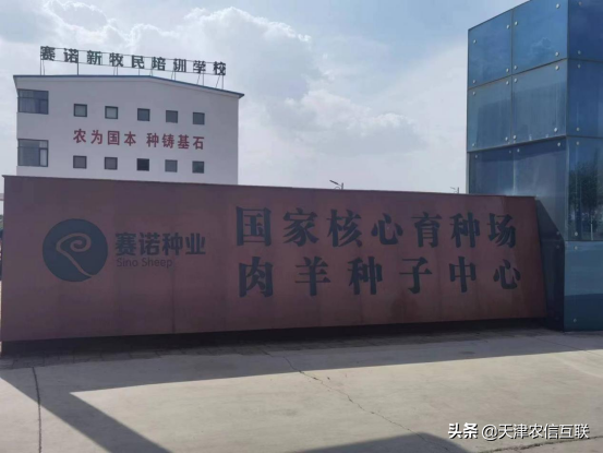 赛诺羊业+羊联网 用数智助力种羊产业转型升级