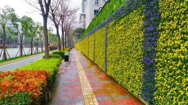 ���ۺ��� ��ϸ�������������ǹֲܾ����Ż��˾ӻ���