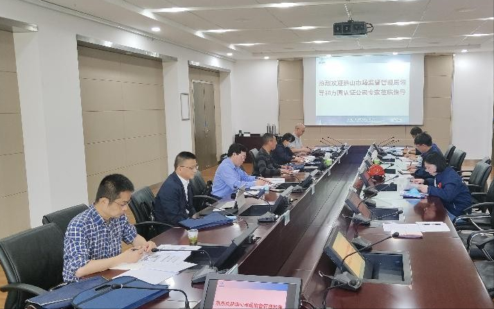 武汉洪山区请专家为企业瓶颈“会诊把脉”助力破解“卡脖子”难题