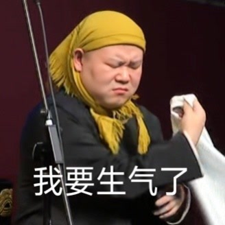 《我的小姨》一片小学生作文