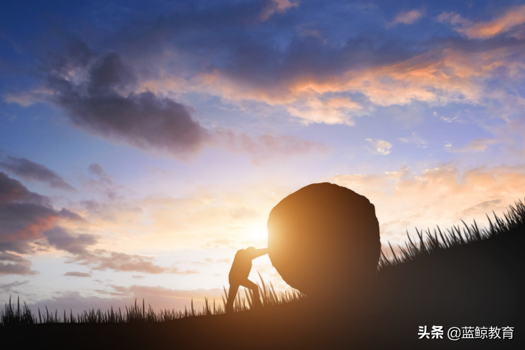 新东方烹饪：兴于营销，困于营销