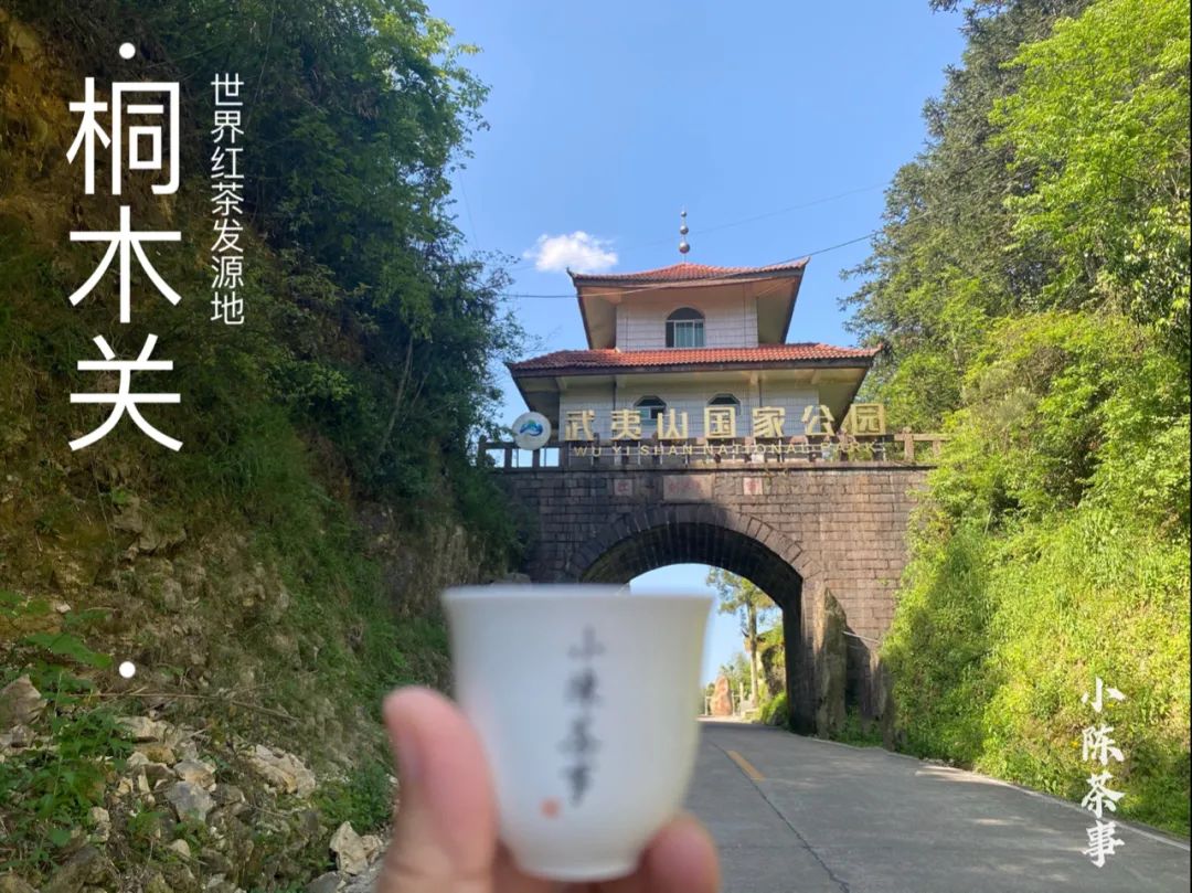既然大紅袍、鐵觀音都是烏龍茶，那么烏龍茶到底是紅茶還是綠茶？