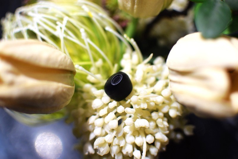 无感佩戴 音比天籁 Jeet Air 2真无线蓝牙耳机