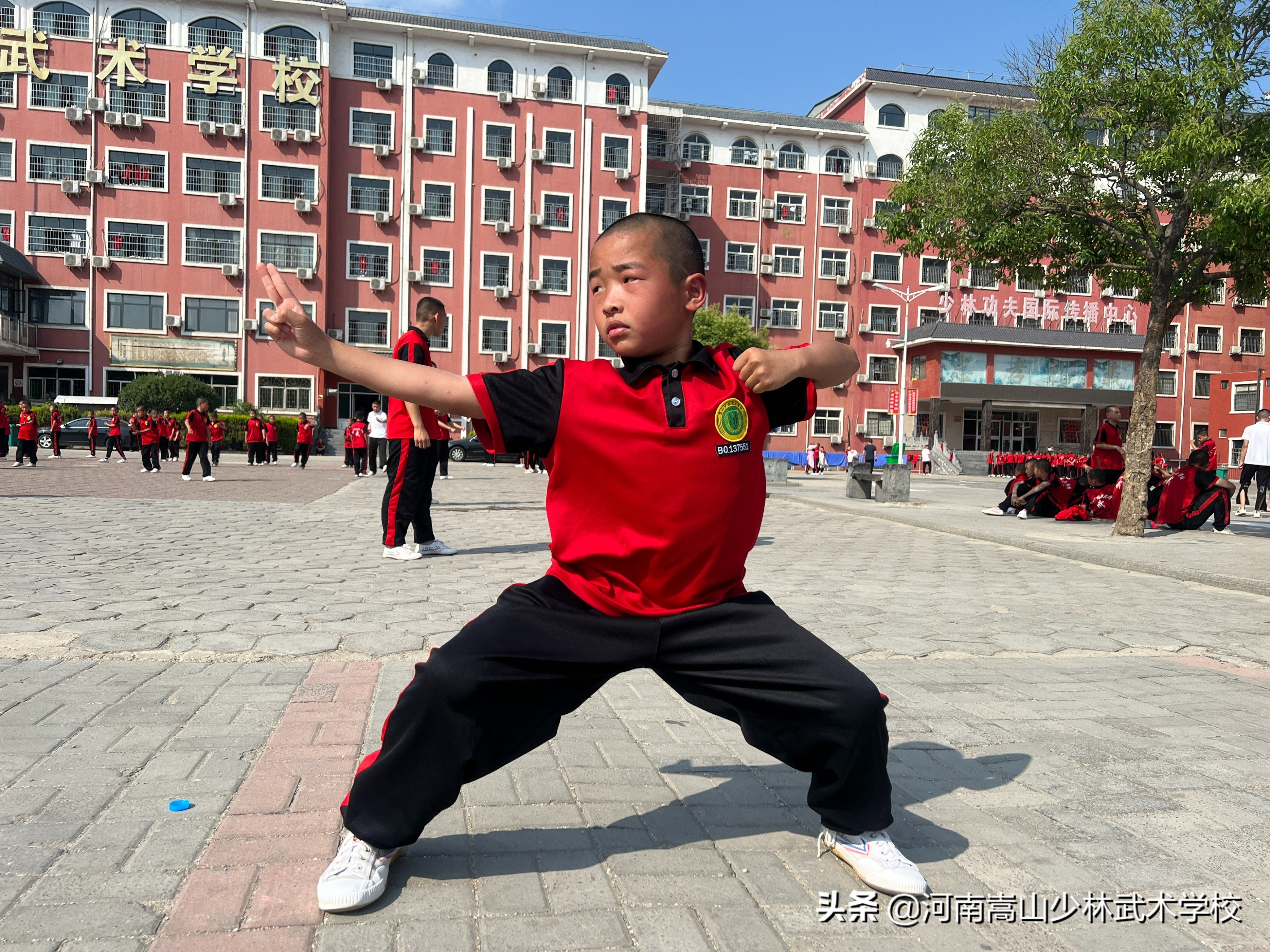 少林寺學費貴嗎_少林寺學校學費一年_少林寺學費多少