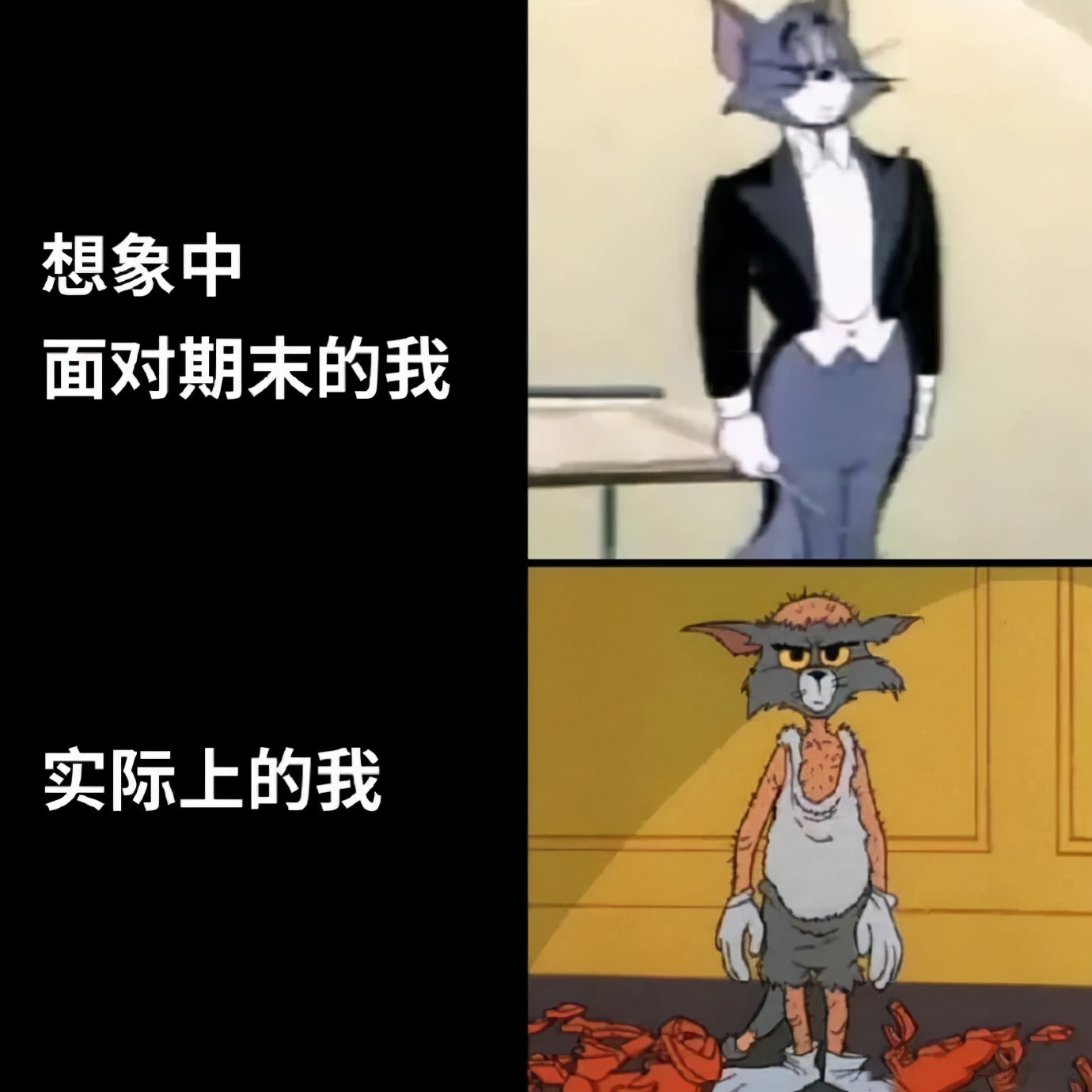 大学生用“梗图”吐槽期末复习，只要专业选得好，年年期末赛高考