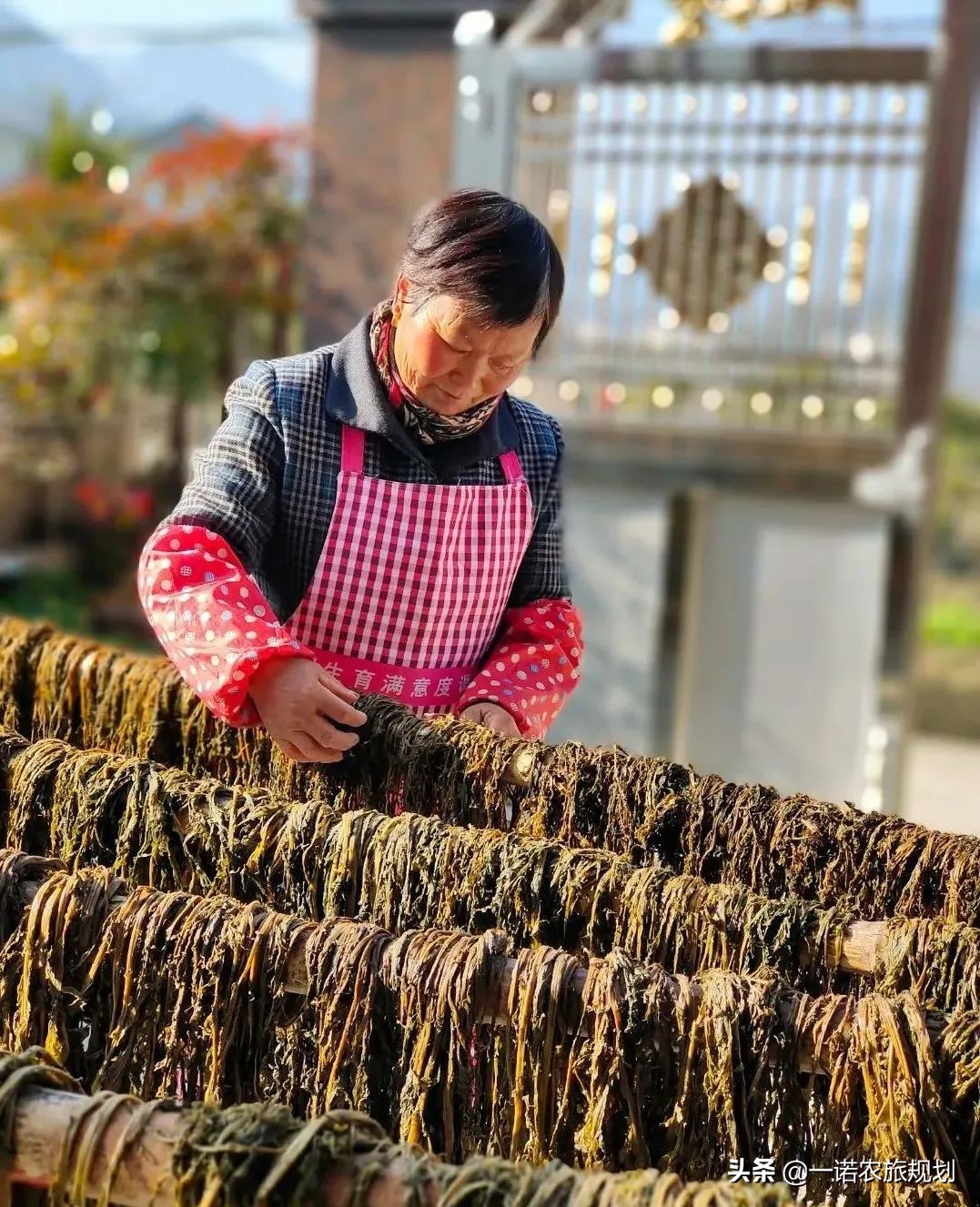 乡村之所以衰败，一个重要的原因是乡村缺乏产业支撑