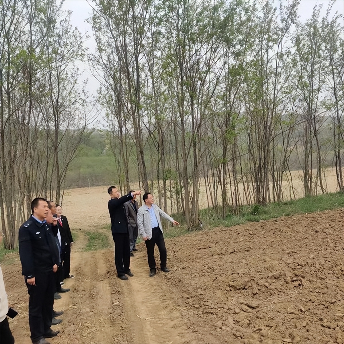 宜君法院：春耕在即农忙时 强制执行退耕地