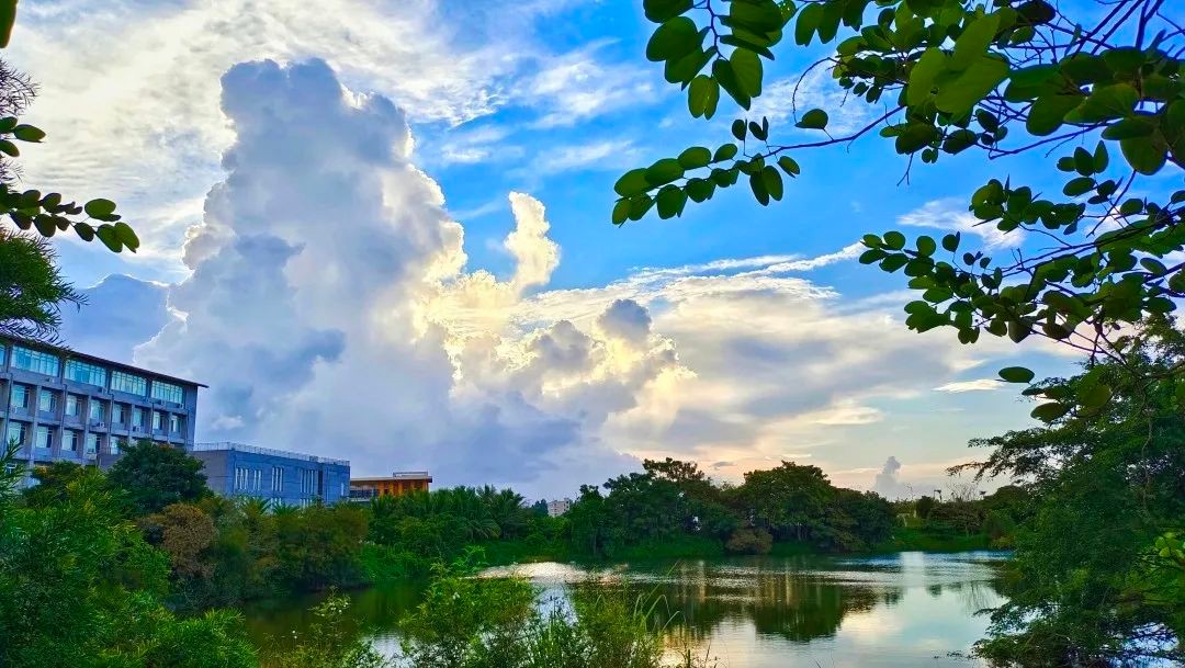 坐落于祖国最南端！这所高校承百年历史，风光秀美，实力强劲